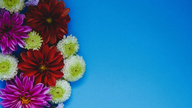 国米大胜晋级三喜临门！迪乌夫摆脱水货标签，奥西利奥亮明牌